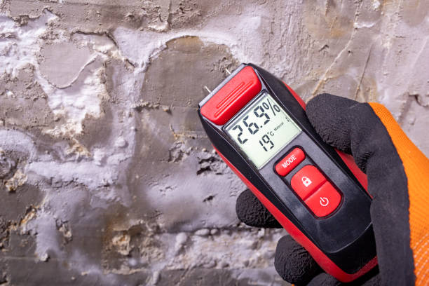 Best Emergency Mold Remediation in Wyoming, IL